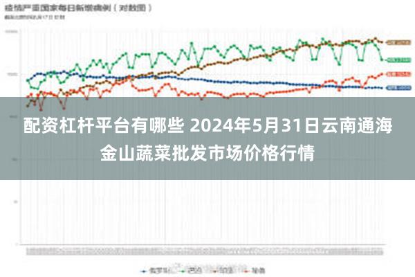 配资杠杆平台有哪些 2024年5月31日云南通海金山蔬菜批发市场价格行情