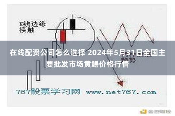 在线配资公司怎么选择 2024年5月31日全国主要批发市场黄鳝价格行情