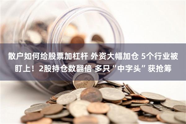 散户如何给股票加杠杆 外资大幅加仓 5个行业被盯上！2股持仓数翻倍 多只“中字头”获抢筹