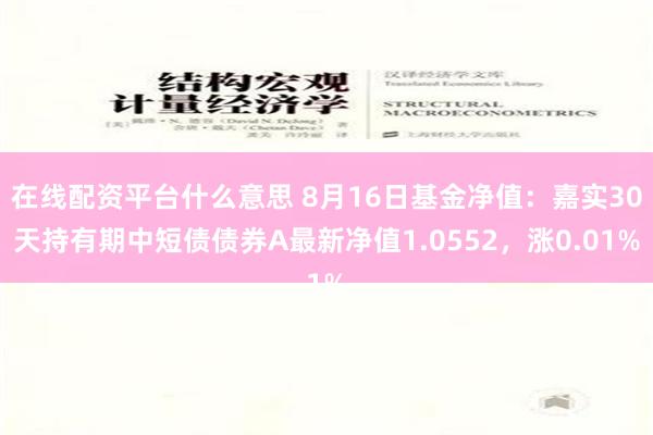 在线配资平台什么意思 8月16日基金净值：嘉实30天持有期中短债债券A最新净值1.0552，涨0.01%