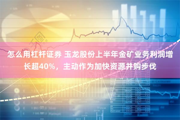 怎么用杠杆证券 玉龙股份上半年金矿业务利润增长超40%，主动作为加快资源并购步伐