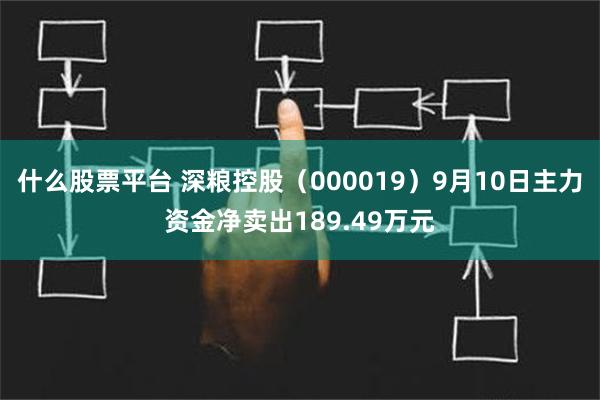 什么股票平台 深粮控股（000019）9月10日主力资金净卖出189.49万元