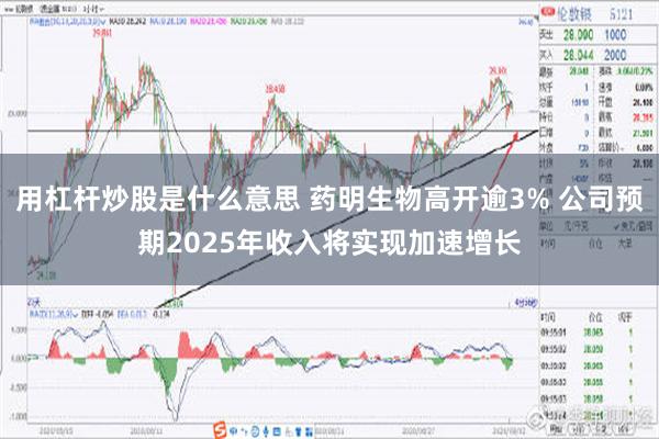 用杠杆炒股是什么意思 药明生物高开逾3% 公司预期2025年收入将实现加速增长