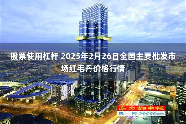 股票使用杠杆 2025年2月26日全国主要批发市场红毛丹价格行情